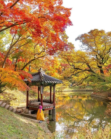 20 Best Places to See Autumn Leaves in Korea 2023 - Klook Travel Blog Korea Autumn, Autumn In Korea, Siargao, Guilin, Tainan, Kaohsiung, Kumamoto, Blossom Tree, Gifu