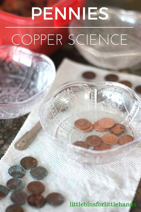 Penny Experiment, Science Manipulatives, Stem Activities For Preschool, Earth Science Projects, Money Building, Junior Kindergarten, Kitchen Chemistry, Kitchen Science Experiments, Activity For Preschool