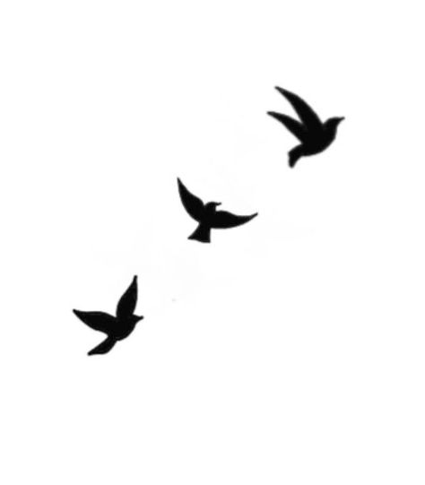 Two Bird Tattoo Small, Small Tattoos For Men Birds, 3 Black Birds Tattoo, Tattoo Doves Flying, Birds Flying Silhouette Tattoo, 3 Doves Flying Tattoo, Dove Birds Tattoo, Envy Tattoo Design, Mini Dove Tattoo