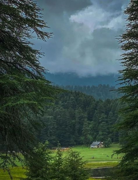 📍𝐋𝐨𝐜𝐚𝐭𝐢𝐨𝐧 - Khajjiar| Chamba🌲 🔸Himachalpradesh 🌄 𝐏𝐈𝐂𝐓𝐔𝐑𝐄 𝐁𝐘 : @lost.backpacker . Follow @spstourstravel for more !! . Like Comment Share . @spstourstravel @spstourstravel @spstourstravel 👉sps tempo traveller on rent 👉sps tempo traveller on rent 👉sps tempo traveller on rent #spstourstravel #himachal #himachalpictures #photooftheday #himachaldiaries #nature #naturephotography #chamba #himachali #landscapephotography #himachalgram #kullu #eveningphotography #dalhousie Khajjiar Himachal Photography, Dalhousie Photography, Himachal Photography, Tempo Traveller, Tourist Places, Beautiful Photos Of Nature, Like Comment Share, Beautiful Photo, Landscape Photography