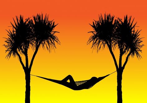 Black silhouette of a hammock between two palm trees with orange sunset sky and woman relaxing Palm Tree Images, Woman Relaxing, Orange Sunset, Two Trees, Black Silhouette, Tree Free, Photo Tree, Sunset Sky, Wales England