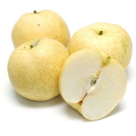 Buy a fresh golden peer at Waangoo Online Singapore.   Pears are rich in essential antioxidants, plant compounds, and dietary fiber.   Shop now!   #peerfruits #freshpeerfruits #waangooonline #waangooapp #onlineshopping #onlineorder Asian Pear, City Japan, Drought Tolerant Landscape, Hood River, Apple Pear, Dietary Fiber, Fresh Fruit, Agriculture, 20th Century