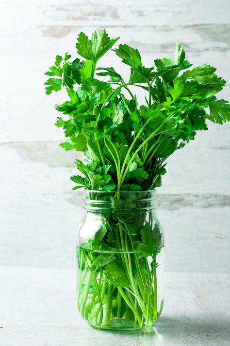 What To Do With Parsley Fresh Herbs, Leftover Parsley Recipes, Ways To Use Fresh Parsley, What To Do With Extra Parsley, What To Do With Fresh Parsley, Uses For Parsley, Recipes That Use Parsley, Recipes Using Parsley, Italian Parsley Recipes