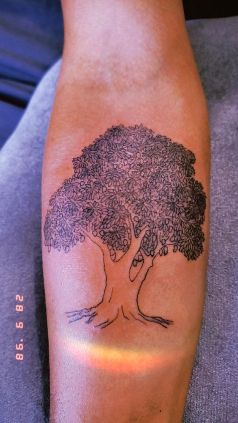 #mangotree #mango #tree #tattoo Mango Tree Tattoo, Mango Tree, Tree Tattoo, Print Tattoos, Paw Print Tattoo, Small Tattoos, Skull Tattoo, Paw Print, Mango