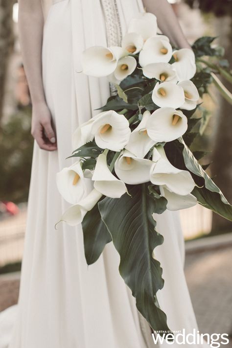 22 Lily Bouquets Perfect for a Spring Wedding #LilyBouquets #WeddingFlowers #WeddingInspiration #WeddingIdeas | Martha Stewart Weddings Calla Lily Bridal Bouquet, Single Flower Bouquet, Lily Bridal Bouquet, Calla Lily Bouquet Wedding, Colorful Wedding Bouquet, Calla Lily Bridal, Purple Calla Lilies, Calla Lily Wedding, Cascading Wedding Bouquets