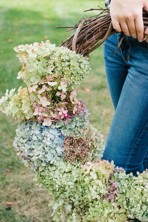 Learn how simple it is to make this 10 minute homemade hydrangea wreath for fall! Hydrangea Pruning, Dried Hydrangea Wreath, Diy Hydrangea, Hydrangea Wreath Diy, Hydrangea Garland, Fall Hydrangea Wreath, Types Of Hydrangeas, Wreath For Fall, Dried Flowers Diy