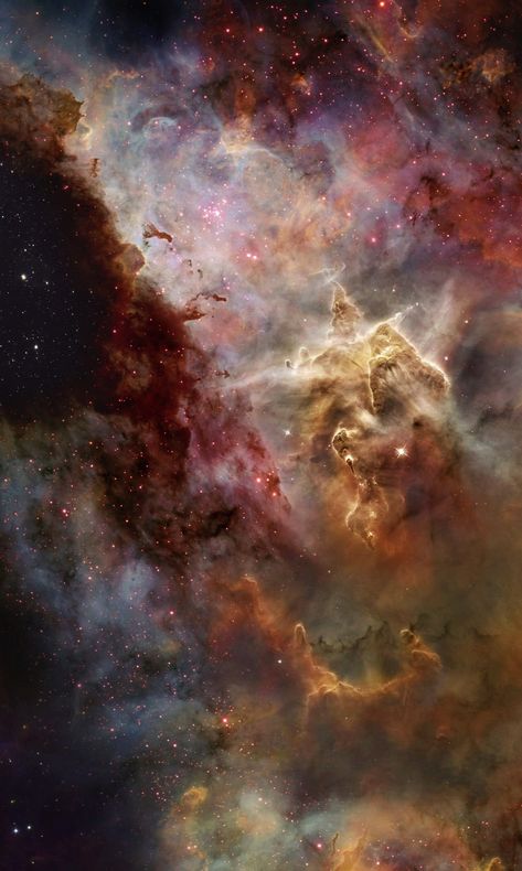 Mystic Mountain in the Carina Nebula captured by the Hubble Space Telescope NASA cropped close up 1200x2000 Nasa Hubble Images, Nasa Space Pictures, Hubble Space Telescope Pictures, Telescope Hubble, Hubble Pictures, Nasa Pictures, Mystic Mountain, Telescope Images, Space Story