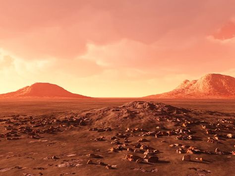 Martian Landscape Google Backgrounds, Mars Surface, Mars Exploration, Astronomy Pictures, One Step Beyond, Planets Art, Sunset Background, Landscape Photography Nature, Desert Sunset