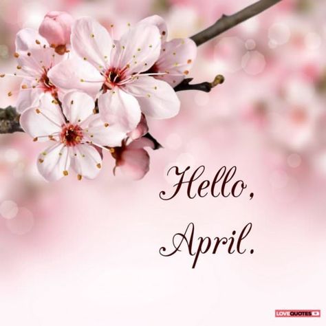 Hello, April. April Images, Bon Week End Image, Neuer Monat, April Quotes, Good Morning Sunday Images, Seasons Months, Hello April, Hello March, Days And Months