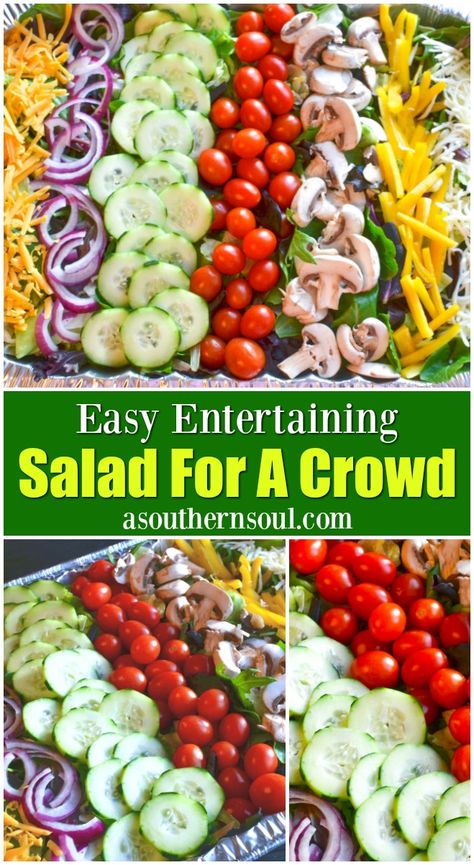 Salad for a crowd with tomatoes, cucumbers, onions, mushrooms and cheese with a homemade vinaigrette is a hit at any gathering or party. Seasonal Appetizers, Salad For A Crowd, Recipes For Large Groups, A Southern Soul, Salads For A Crowd, Green Veggies, Tossed Salad, Salad Toppings, Cooking For A Crowd