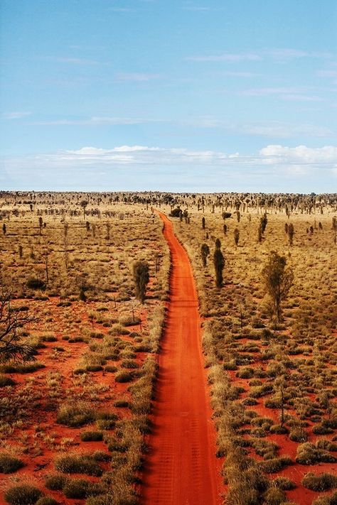 “Northern Territory” is a photographic wall art print in our Central Australia collection. It is available with or without framing in small, medium, large or extra large sizes to buy online. Made in Australia. Limited to 100 prints per size. Kara Rosenlund, Australian Desert, Aerial Photos, Outback Australia, In The Middle Of Nowhere, Middle Of Nowhere, Travel Photography Inspiration, Dirt Road, Northern Territory