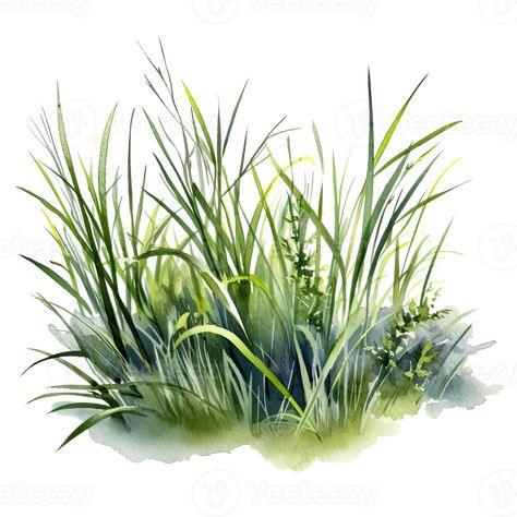 Magpie Art, Grass Drawing, Grass Illustration, Tree Watercolor Painting, Grass Painting, Painting Flowers Tutorial, Landscape Architecture Drawing, Learn Watercolor Painting, Watercolor Green