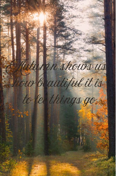 Fall vibes, Happy Mabon! Autumn Equinox. Happy Mabon, Fall Quotes, Autumn Quotes, Fall Vibes, How Beautiful, Quotes