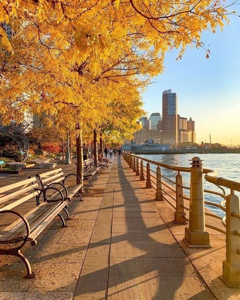 New York In The Fall, Boston Aesthetic, Fall In Nyc, Fantasy Story Ideas, Fall City, Nyc Fall, Autumn In New York, Autumn Scenery, City Landscape