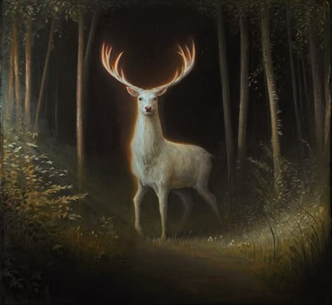 White Stag, Oil on Linen, 24" x 26" : Art Spiritual Animals, Decorative Paper Crafts, Weird Sisters, White Hart, Spiritual Animal, Groove Metal, Grisha Trilogy, White Deer, Simply Red