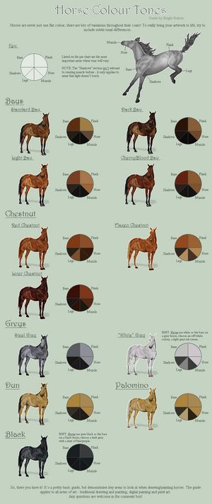 Pixel Horse, Horse Color Chart, Horse Tutorial, Painting Horses, Different Horse Breeds, Horse Markings, Horse Coat Colors, Cai Sălbatici, Horse Facts