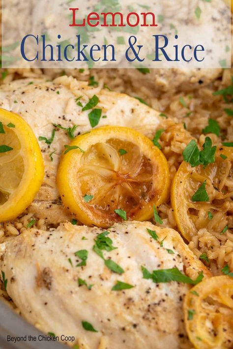 Lemon Chicken and Rice Lemon Chicken And Rice, Lemon Chicken Rice, Chicken And Rice Dishes, Homemade Appetizer, Chicken Breast Seasoning, Winner Winner, Chicken And Rice, Weeknight Dinner Recipe, Juicy Chicken