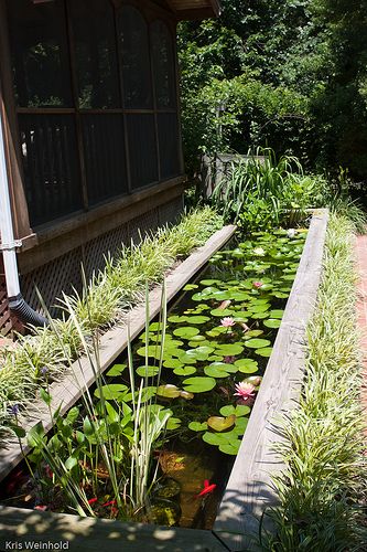 Small Water Gardens, Tanaman Air, Kolam Koi, Container Water Gardens, Taman Air, Garden Pond Design, Garden Water Feature, Small Pond, Pond Ideas