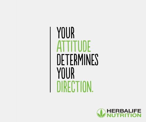 Herbalife Plan, Herbalife Quotes, Herbalife Meal Plan, Herbalife Motivation, Herbalife Business, Herbalife Nutrition Club, Herbalife Shake Recipes, Herbalife Distributor, Nutrition Club