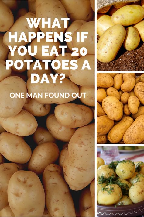 Chris Voigt is the executive director of the Washington State Potato Commission. In an effort to educate the public about the nutritional value of potatoes, he ate 20 potatoes a day, for 60 days straight. That’s right, his diet consisted of only potatoes and nothing else. No toppings, no chili, no sour cream, no cheese, no gravy – just potatoes and maybe some seasonings or herbs and a little oil for some of the cooking. Here's how it turned out. #foodscience Potato Reset, Broccoli Mum, Starch Solution Recipes, Potato Diet, Mcdougall Recipes, Benefits Of Potatoes, Banana Diet, Potato Bar, Irish Potatoes