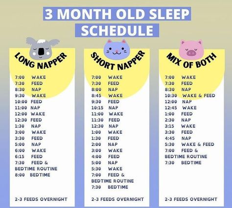 Three months after giving birth, the “newborn honeymoon phase” starts to wear off and parents become eager to settle into a predictable routine with their baby. ⁠ ⁠ Whether your baby is an “easy sleeper” or not, most moms and dads start craving a predictable sleep schedule for their 3 month old baby.⁠ ⁠ The majority of babies this age need to eat at night. But, small changes to your 3 month old’s sleep schedule can help you start getting longer stretches of night sleep. 3 Month Old Schedule, 3 Month Old Sleep, Three Month Baby, Baby Sleep Routine, Baby Routine, Newborn Needs, 3 Month Old Baby, 3 Month Old, Baby Schedule