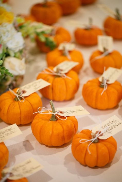 Pumkin Ideas, Fall Wedding Table Decor, Fall Wedding Tables, Pumpkin Wedding, Entertainment Ideas, Wedding Themes Fall, Seating Cards, Fall Wedding Decorations, Wedding Entertainment