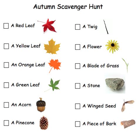 From Chalkboards To Strollers: Autumn Scavenger Hunt For Toddlers and Pre-Schoolers Scavenger Hunt For Toddlers, Autumn Scavenger Hunt, Fall Scavenger Hunt, Tree Study, Fall Preschool, Outdoor Learning, Theme Halloween, Thanksgiving Crafts, Autumn Activities