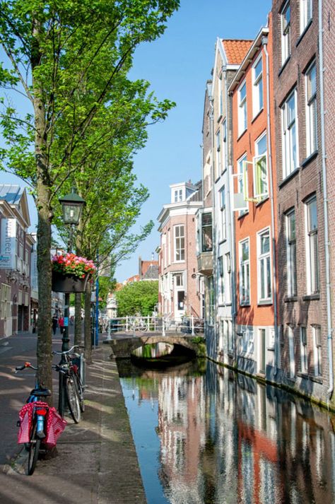 2019 Discovery: The “Dutch Corridor”: Leiden, Delft, and Rotterdam, Netherlands – Camerons Travels | Rick Steves Europe Rotterdam Aesthetic, Rotterdam Netherlands, Rick Steves, City Photos, Delft Blue, Europe Trip, Travel Europe, European Summer, Leiden