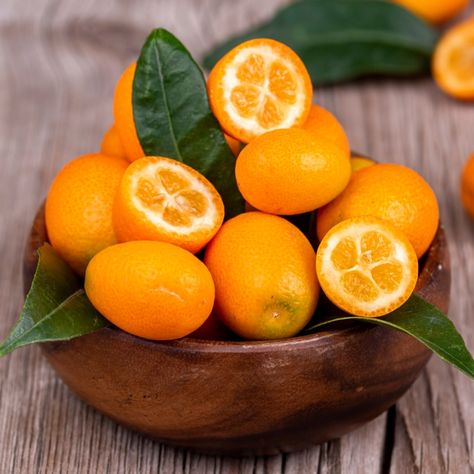 Kumquat Tree Kumquat Tree, Full Sun Plants, Garden Life, Sun Plants, Plant Spacing, Winter Light, Orange Fruit, Plant Roots, Fruit And Veg