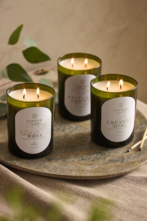 A luxurious and useful gift for anyone in your life! Arriving in a full size set of three botanical-forward scents, these Linnea candles are a fan favorite year after year. Perfect to burn in any room, at any time of year, with sophisticated notes. Scent Notes Crushed Mint: lemon zest, wild mint, clary sage Heirloom Tomato: ripe tomato, green stem, soil Moss: eucalyptus, cedar wood, oakmoss | Linnea Candle Gift Set, Botanik at Terrain Pineapple Lily, Popular Candle Scents, Candle Designs, Popular Candles, Wild Mint, Candle Logo, Fruit Pineapple, Candles Photography, Luxury Candle