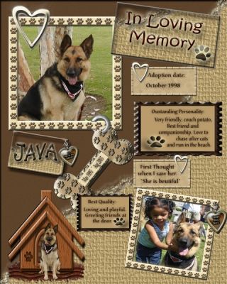 dog scrapbook page ideas - Bing Images Dog Scrapbook Layouts, Pet Scrapbook Layouts, Scrapbooking 101, Scrapbook Page Ideas, Dog Scrapbook, Pet Scrapbook, Family Scrapbook, Album Scrapbook, Scrapbooking Album