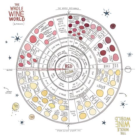 Varietals and Styles Wine Chart, Wine Facts, Wine Snob, Wine Knowledge, Wine Book, Wine Expert, Wine Education, Wine Guide, Map Wallpaper