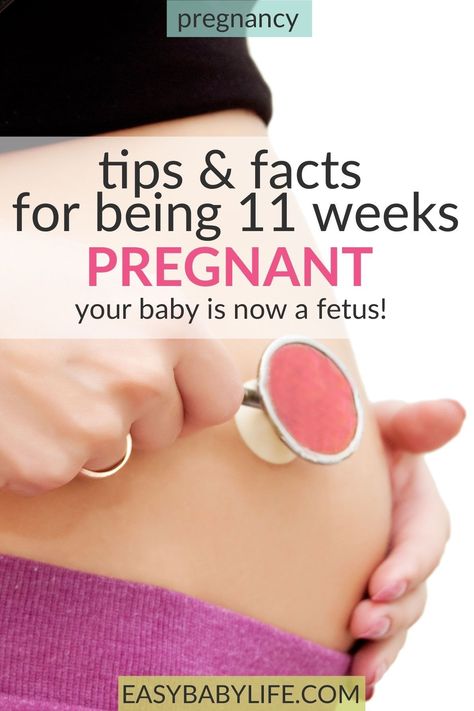 11 weeks pregnant, and your baby is now a fetus! Here fetal development, belly growth, and pregnancy symptoms are all covered for this wekk of the first trimester. Your pregnancy week by week, pregnancy tips, first trimester, 1st trimester, pregnancy tips, pregnancy timeline #pregnancy #pregnant 1st Trimester Pregnancy, 11 Weeks Pregnant, Week By Week Pregnancy, 15 Weeks Pregnant, Pregnancy Timeline, Motherhood Advice, Pregnancy Week, Pregnancy Checklist, 1st Trimester