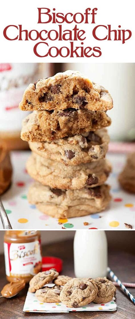 Biscoff Cookie Recipe, Biscoff Chocolate, Biscoff Recipes, Biscoff Biscuits, Biscoff Cookie Butter, Biscoff Spread, Biscoff Cookies, Chocolate Chip Cookies Recipe, Butter Cookies Recipe