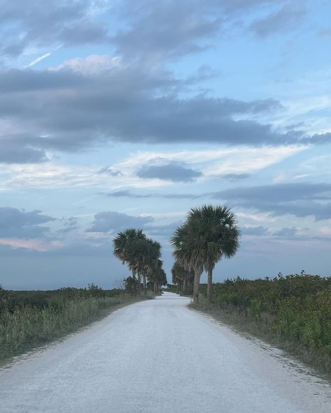 florida🐊🐬🐚 Florida Gothic Aesthetic, Rural Florida, Florida Gothic, Florida Swamp, Ruskin Florida, Road Trip Books, Florida Cracker, Cracker House, Deland Florida