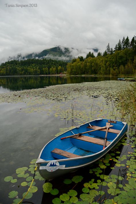 Fishing 101, Row Boats, Float Your Boat, Old Boats, Lake Boat, Painting Picture, Boat Art, Lake Resort, Rv Park