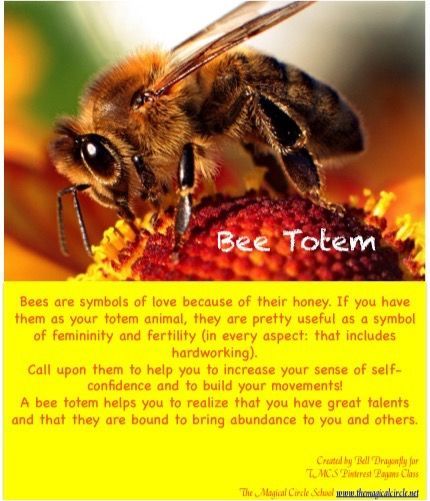 Bee Totem, Animal Prayers, Bee Symbolism, Bee Spirit Animal, Bee Magic, Animal Totem Spirit Guides, Spiritual Animals, Nature Spirituality, Spirit Animal Meaning