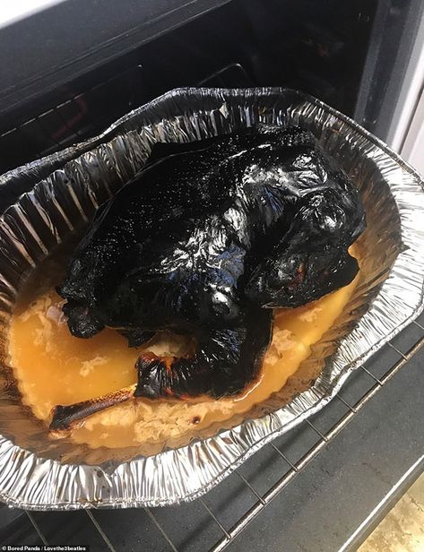 Amateur chefs reveal their VERY disastrous cooking fails | Daily Mail Online Cooking Fails, Worst Cooks, Ayam Bakar, Thanksgiving Feast, Funny Thanksgiving, Thanksgiving Turkey, Thanksgiving Dinner, Thanksgiving Recipes, Happy Thanksgiving