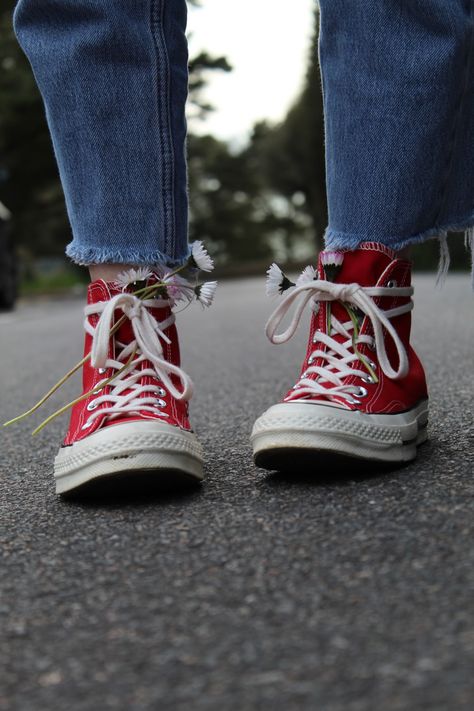 Converse Shoes Photography, Flowers In Shoes, Shoes Photography, Converse Shoes, Street Photography, Portrait Photography, Converse, Flowers, Photography