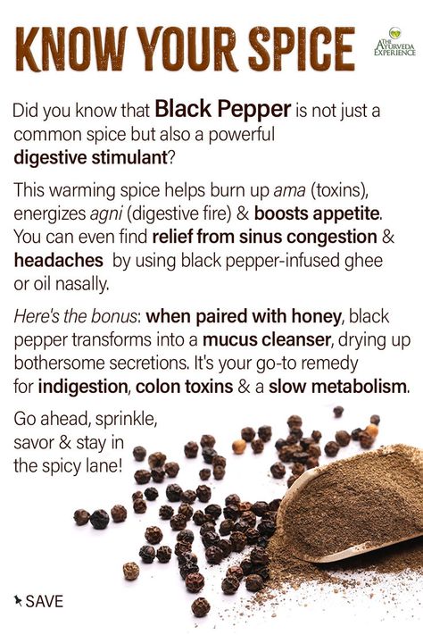 spices and black pepper health benefits for digestion and gut health Spices Health Benefits, Indian Spices List, Spices List, Detox Herbs, Herbal Education, Food Benefits, Ayurveda Recipes, Gut Healing Recipes, Raw Foods