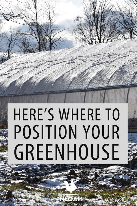 How To Build Your Own Greenhouse, Best Location For Greenhouse, Greenhouse With Sitting Area, Small Greenhouse Ideas Interior Design, Greenhouse Interiors Layout, Greenhouse Set Up Inside, Pit Greenhouse, Greenhouse Ideas Interior Design, Inside Greenhouse Ideas