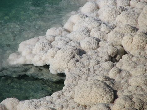 Dead Sea Salt | Closeup of the salt deposits at the edge of … | Flickr Dead Sea Salt, Dead Sea, Sea Salt, The Edge, The Dead, Close Up, Salt