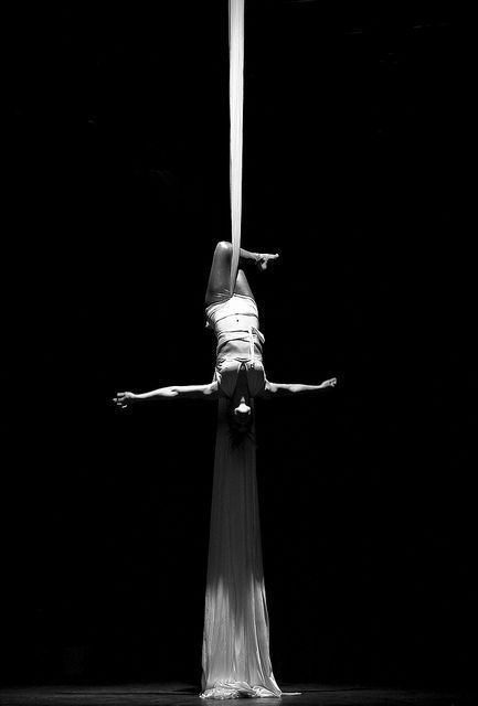 Aerialst Robin Rose by Lunabreezeperformance Flickr  #aerial #aerialphotography #blackandwhitephotography Wild Is The Wind, Aerial Gymnastics, Silk Dancing, Butterfly Pose, Aerial Silk, Aerial Fitness, Aerial Acrobatics, Night Circus, Aerial Dance