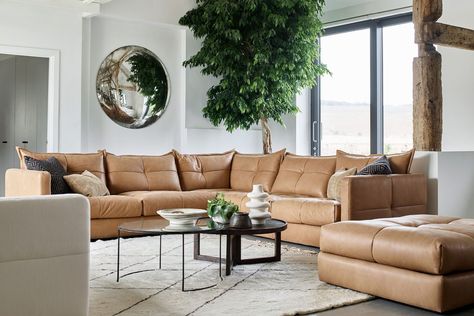 Our December Sofa Favourites here at Furniture World Grey Leather Corner Sofa, Earth Graphic, New Soul, Leather Corner Sofa, Leather Footstool, Brown Sofa, Sofa Living, Cherry Tree, Corner Designs