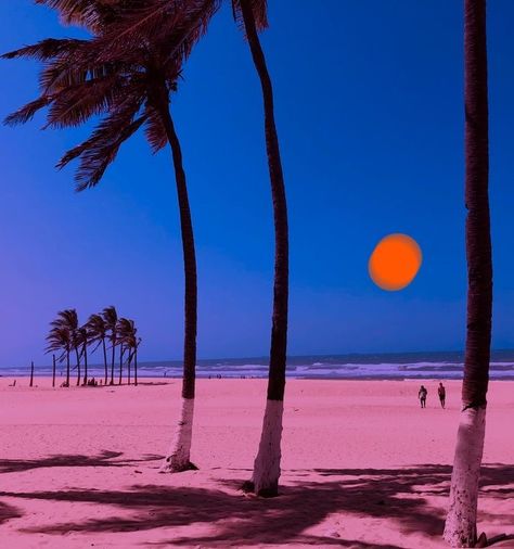 Neon Beach, Orange Aesthetic, Picture Collage Wall, Photo Wall Collage, Palm Print, Beach Print, Orange Cream, Picture Collage, Beach Aesthetic