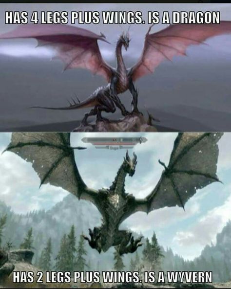 Wyvern Dragon, Dragon Artwork, The More You Know, Skyrim, Dungeons And Dragons, Board Games, Card Games, Fish Pet, Northern Lights