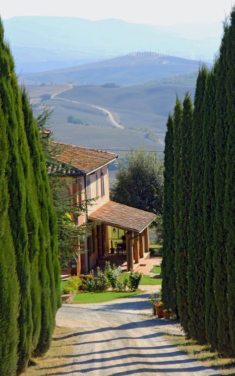 Val d'Orcia, Province of Siena, Tuscany region Italy Val D Orcia, Toscana Italia, Under The Tuscan Sun, Italy Aesthetic, Tuscany Italy, Rolling Hills, Alam Yang Indah, Pretty Places, Places Around The World