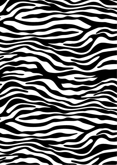 White Zebra, Animal Skin, Print Pattern, Zebra Print, Deviantart, Skin, Pattern, Fabric