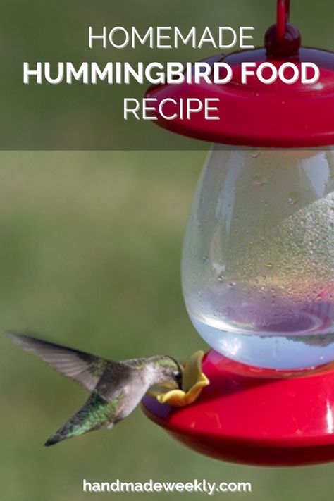 5 minutes · Vegan Gluten free · Serves 4 · Make your own homemade hummingbird food following this simple recipe. All you need is water and sugar in the right ratio. This post also includes tips and tricks to attract hummingbirds as well as how… Recipe For Hummingbird Food, Hummingbird Feeder Recipe, Hummingbird Food Recipe, Make Hummingbird Food, Homemade Hummingbird Nectar, Homemade Hummingbird Food, Hummingbird Nectar Recipe, Hummingbird Food, Hummingbird Nectar