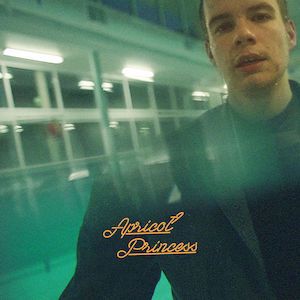 Apricot Princess, Rex Orange County, Rex Orange, Getting Rid Of Mice, So Far So Good, Music Album Covers, Music Album Cover, Indie Pop, Album Cover Art